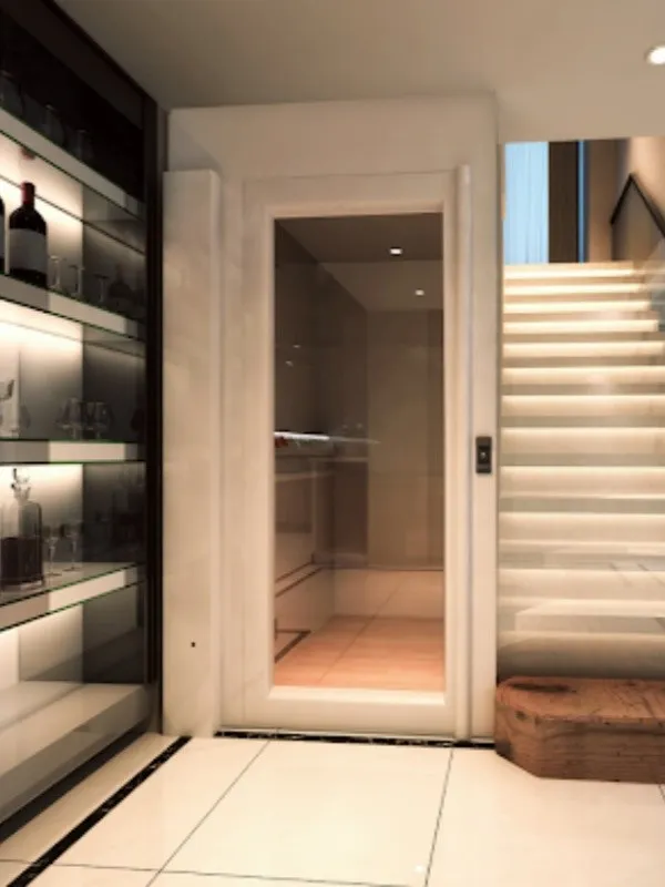 Vertical Small Home Elevator(2)